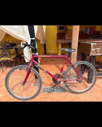 Mountain bike Atala