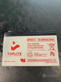 Batteria Yuasa NPW45-12