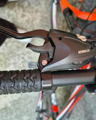 Bici Mtb
