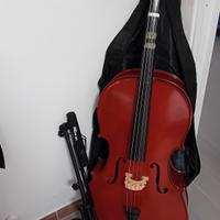 violoncello 