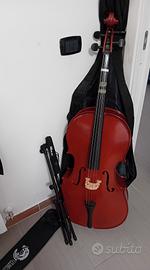 violoncello 