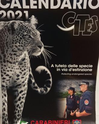 Calendari Cites 4 pezzi