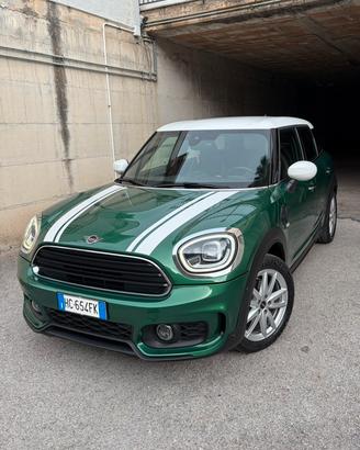 Mini Countryman D