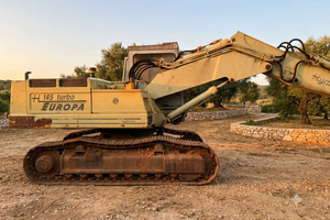 Escavatore Idraulico 25 t in Sagoma – Anno 1992