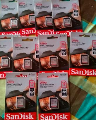 10 Schede SDHC sandisk 16GB