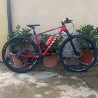 MTB 29 carbonio