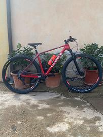 MTB 29 carbonio
