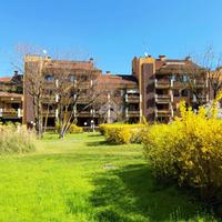 MONOLOCALE A PESCHIERA BORROMEO