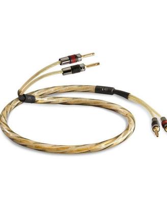 Qed Golden Anniversary XT Coppia cavi  2,5m