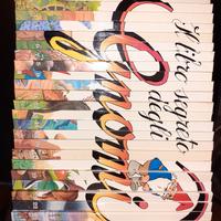 Collana libro segreto degli gnomi 25 volumi 