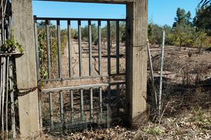 Santa giusta terreno agricolo