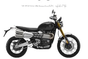 TRIUMPH Scrambler 1200 XE