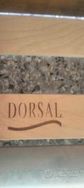 rete a doghe Dorsal