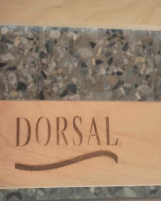 rete a doghe Dorsal