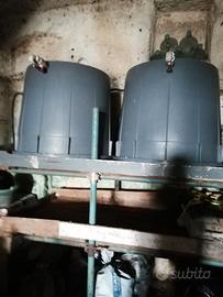 TINI UVA DA 3,5 q CON RUBINETTI