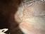 Immagine 13