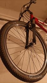 Mountain bike Bianchi 