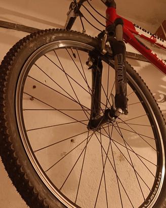 Mountain bike Bianchi 