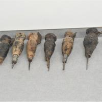 vecchi attrezzi calzolaio