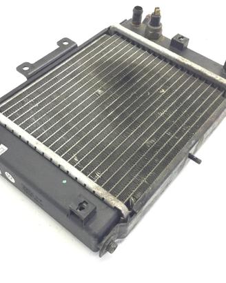 KYMCO GRAND DINK 250 RADIATORE 2003 2004 S41011