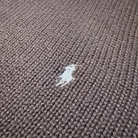 Maglione Polo Ralph Lauren