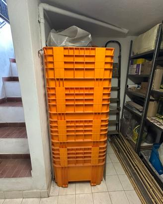 Lotto 4 Vasche / Cassoni in Plastica per Vendemmia