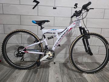 bicicletta 
