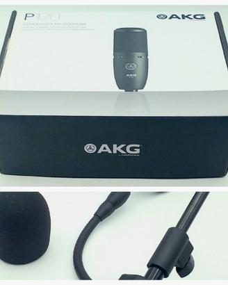Microfono AKG P120-Asta da Tavolo Samson MD2