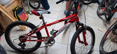 bicicletta