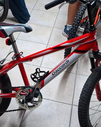 bicicletta
