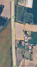 Terreno agricolo a Pozzonovo (PD)