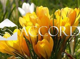 Rif.RB114_1| appartamento quadrilocale