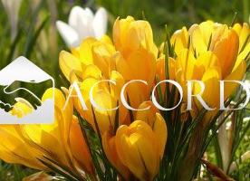 Rif.RB114_1| appartamento quadrilocale