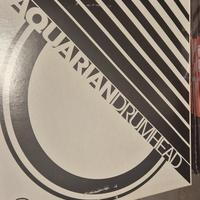 pelli aquarian drumhead