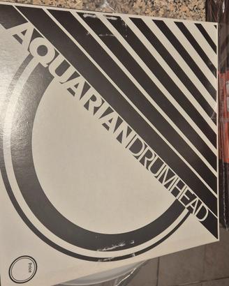 pelli aquarian drumhead