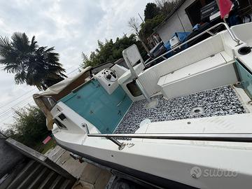 Semicabinato sidra orsa minore