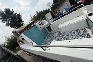 Semicabinato sidra orsa minore