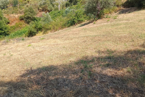 Terreno edificabile/agricolo