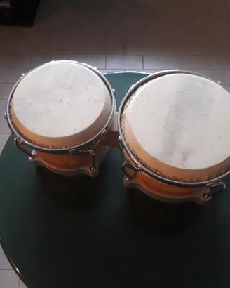 bongo a doppio tamburello