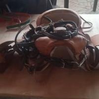 sella e testiera completa  per pony