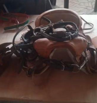 sella e testiera completa  per pony