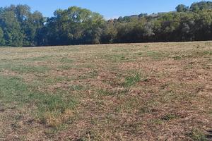 Terreno agricolo con servizio idrico forzato