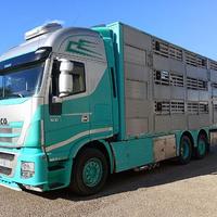 Stralis IVECO AS260S50 BESTIAME