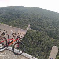 bici MTB in carbonio 