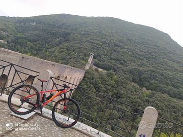 bici MTB in carbonio 