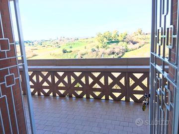 Bilocale Papillo contratto transitorio mensile