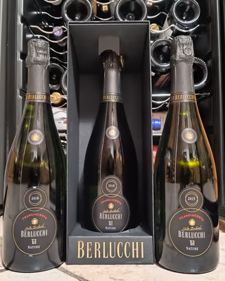 Lotto vino spumante berlucchi Franciacorta Nature 