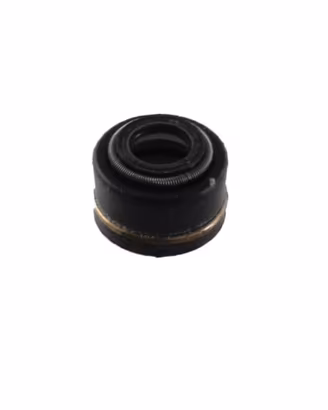 Paraolio guidavalvola Aprilia RS AF1 Pegaso - AP02