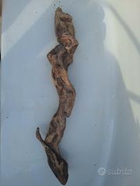 legni per terrari acquari