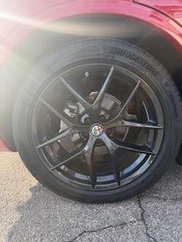 Cerchi Stelvio mod. trofeo